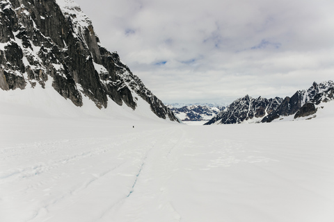Talkeetna: رحلة جبلية مع هبوط اختياري على الجليدرحلة مع Glacier Landing