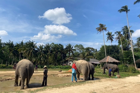 Krabi: olifantenbad en dagtrip naar Huay Tho-watervalDagtocht met ATV-rit