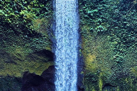 Ubud : Private Tour Waterfalls & Temple With Rice Terrace Private Tour With Spesial Group ( Exluded Entry Ticket )