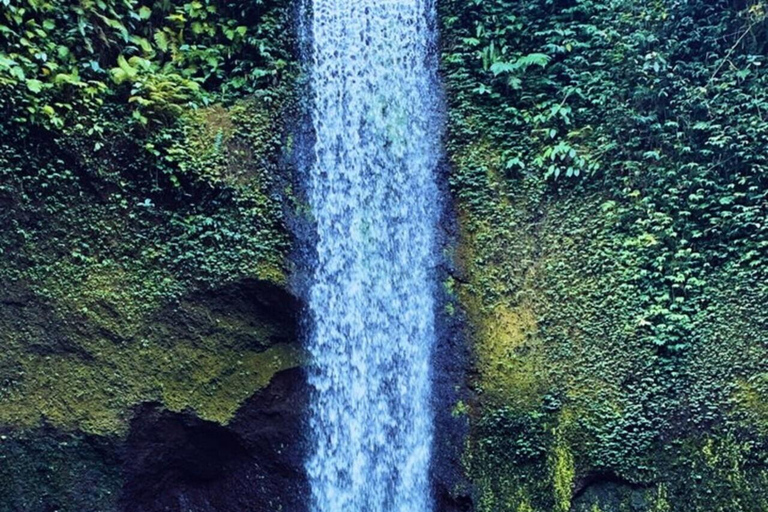 Ubud : Private Tour Waterfalls & Temple With Rice Terrace Private Tour With Spesial Group ( Exluded Entry Ticket )