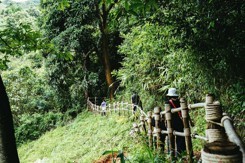 Trek in Doi Inthanon Nationaal Park &amp; Pha Dok Siew Trail TrekTour Doi Inthanon Nationaal Park &amp; Pha Dok Siew Trek