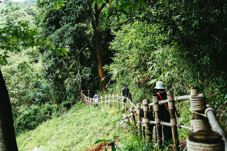 Vandring i Doi Inthanon nationalpark &amp; vandring på Pha Dok Siew Trail