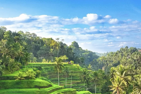 Ubud 3 Hidden Waterfalls & Tegalalang Rice Terrace Tour