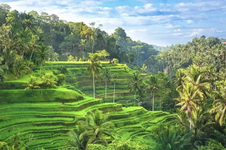 Ubud 3 Hidden Waterfalls & Tegalalang Rice Terrace Tour