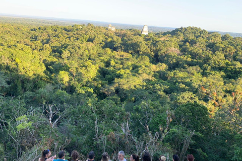 Tikal Day Tour