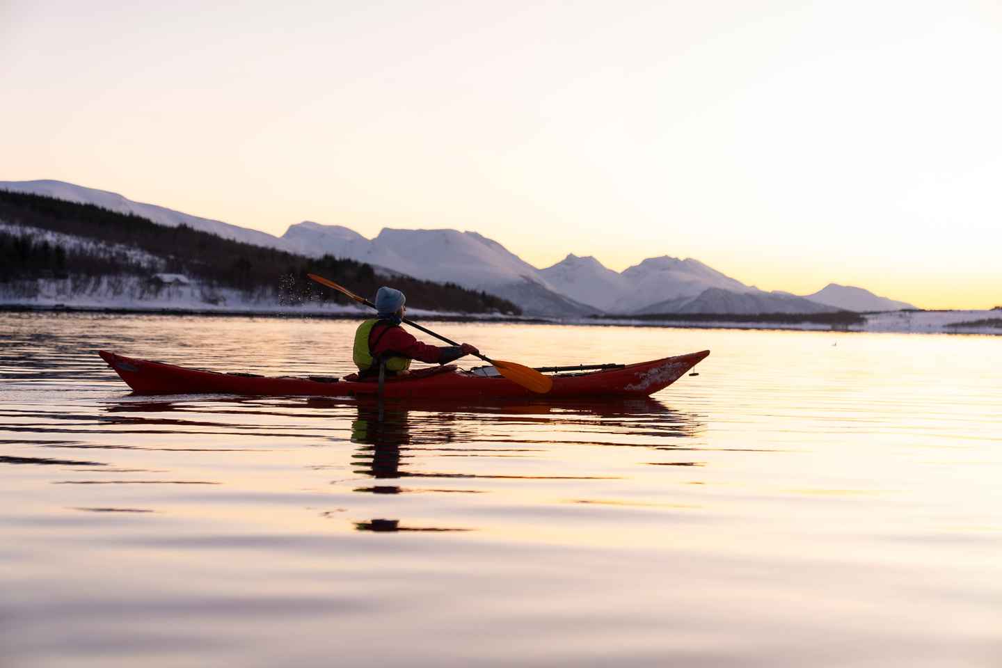 트롬쇠: 겨울 바다 카약 투어와 야생동물 관찰