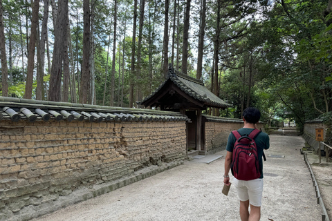 Nara: Yakushi-ji y Toshodai-ji, Patrimonio de la Humanidad, en 3 horas