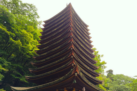 Nara: Explore Tanzan Shrine’s Pagoda and Sacred History