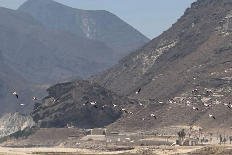 Private Tour Salalah City &amp; West of Salalah