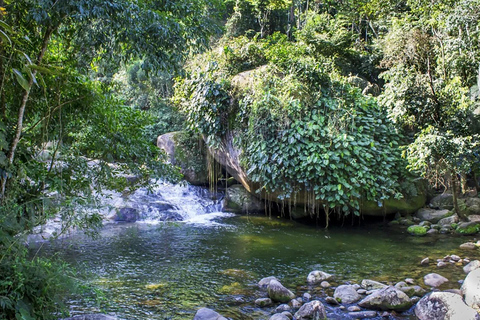 Aventure en Jeep à Paraty : sentier écologique, distillerie et baignade dans la rivièreAventure en Jeep à Paraty : parcours écologique, distillerie et baignade dans la rivièr