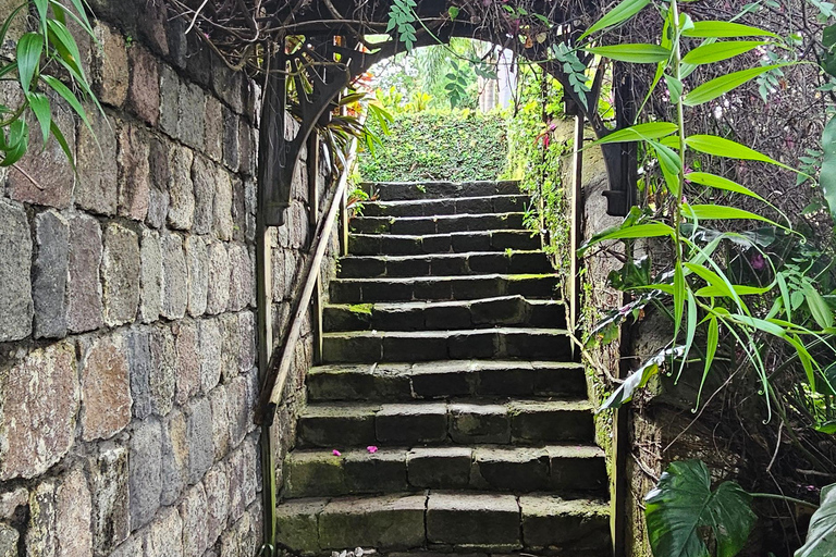St. Kitts: Private Scenic Discovery Tour with Guide