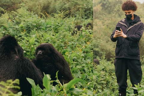 From Kigali: Gorilla Trekking in Rwanda & Diana Fossey Tour
