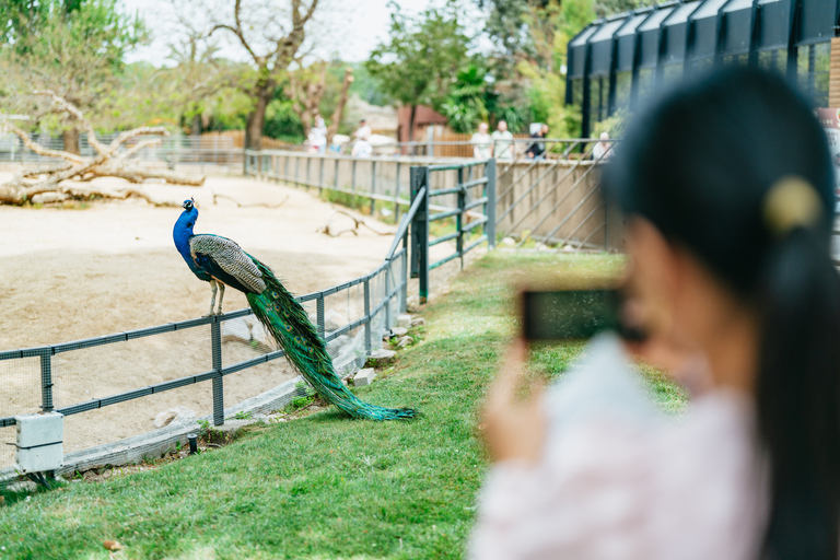 Barcelona: 1-Day Ticket to Barcelona Zoo