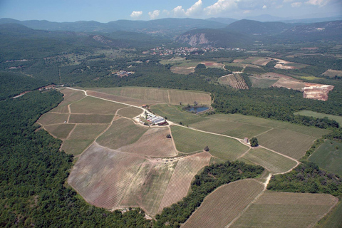 Saloniki: Naousa Wine Region Prywatna jednodniowa wycieczka