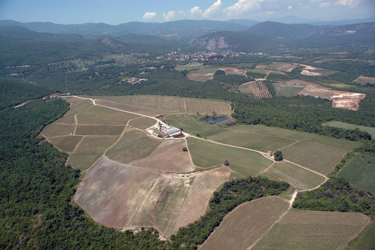 Saloniki: Naousa Wine Region Prywatna jednodniowa wycieczka