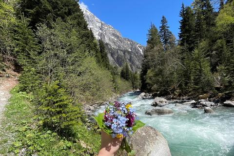 From Kutaisi: Svaneti, Mestia & Ushguli with Scenic Hikes Svaneti 4x4 Private 3-day tour