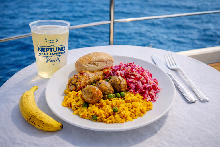 Tenerife: Private Yacht Charter for Whale and Dolphin Watching, with Lunch and Swim Tenerife: Private yacht rental for whale watching with food and a swim