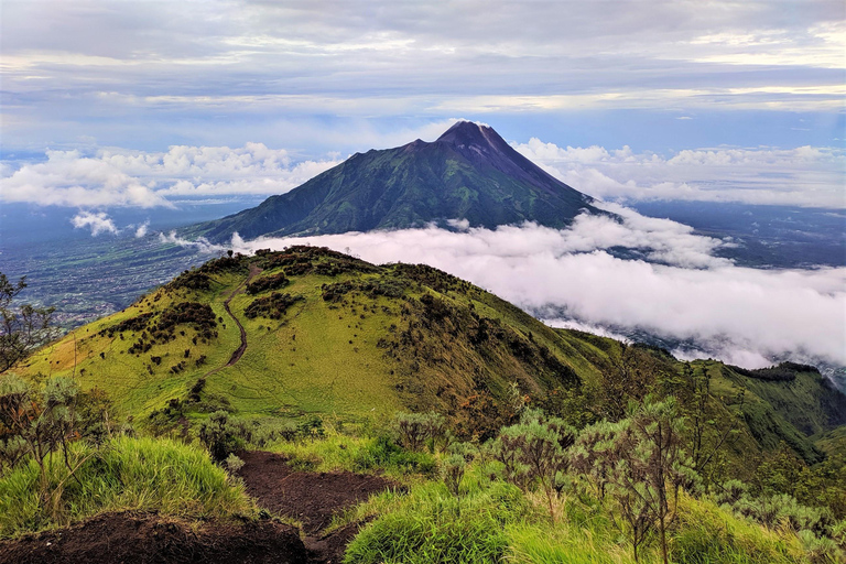 Da Yogyakarta: Escursione di un giorno sul Monte Merbabu