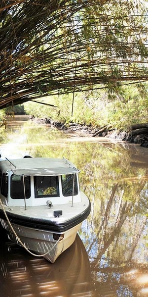 Tigre Delta with Private Navigation with Local Guide - Housity