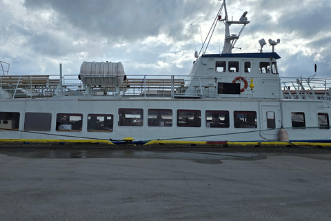 Andenes: Responsible Whale Watching with Classic Catamaran