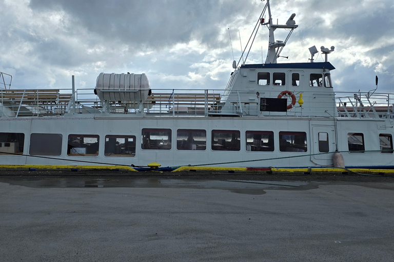 Andenes: Responsible Whale Watching with Classic Catamaran