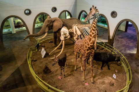 Nairobi: Wild Heritage Museum, Snake Park & Botanical Escape