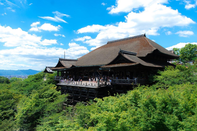 Osaka Kyoto Trasferimento: 10 ore Autista inglese