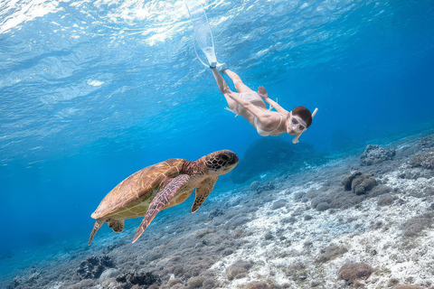 Mirissa: Sea Turtle Snorkeling Tour, GoPro & 100% Guarantee