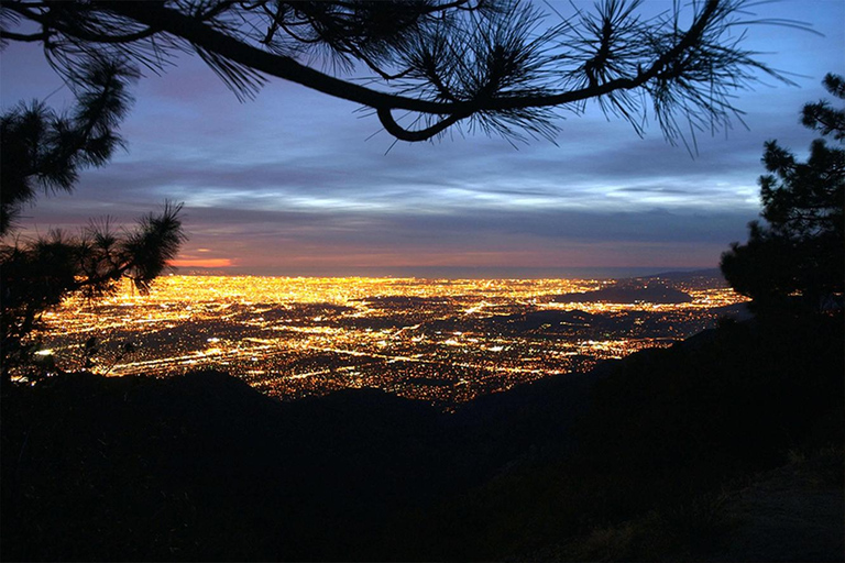 Los Angeles: Private City Tour with Photo and Video Option