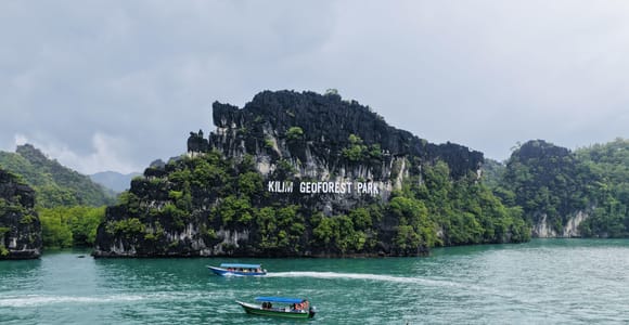 Langkawi Mangrove Tour with Lunch & Snorkeling Options
