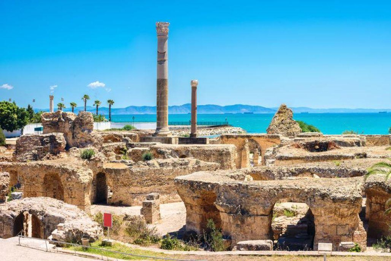 Från Tunis eller Hammamet: Kartago, Sidi Bousaid, Kameltur