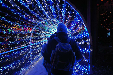 Washington, DC: Winter City Lights Experience