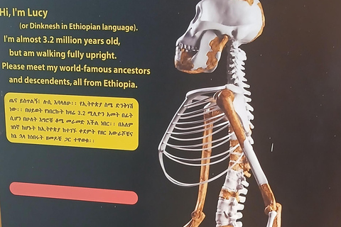 Addis Ababa: Layover Tour with National Museum & Merkato