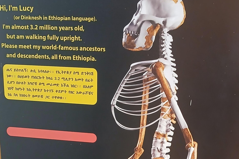 Addis Ababa: Layover Tour with National Museum & Merkato