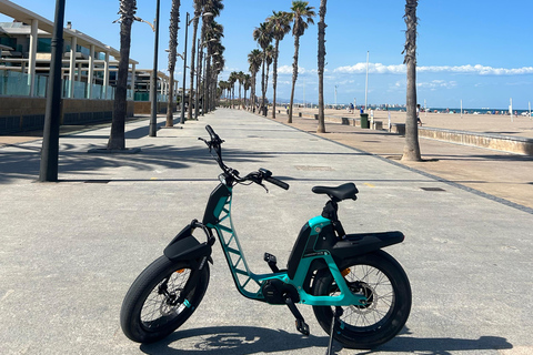 Valencia alles in één: stranden, oude stad &amp; stadskunsten per E-bikeGedeelde Tour Valencia Alles in één