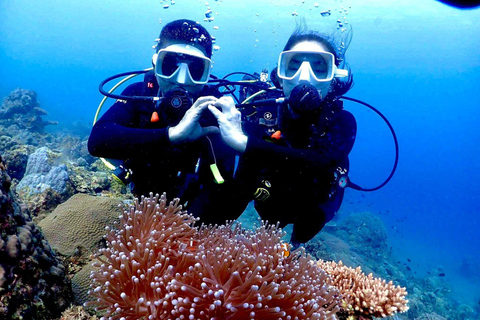 From Manila: Beginner's Scuba Diving Experience