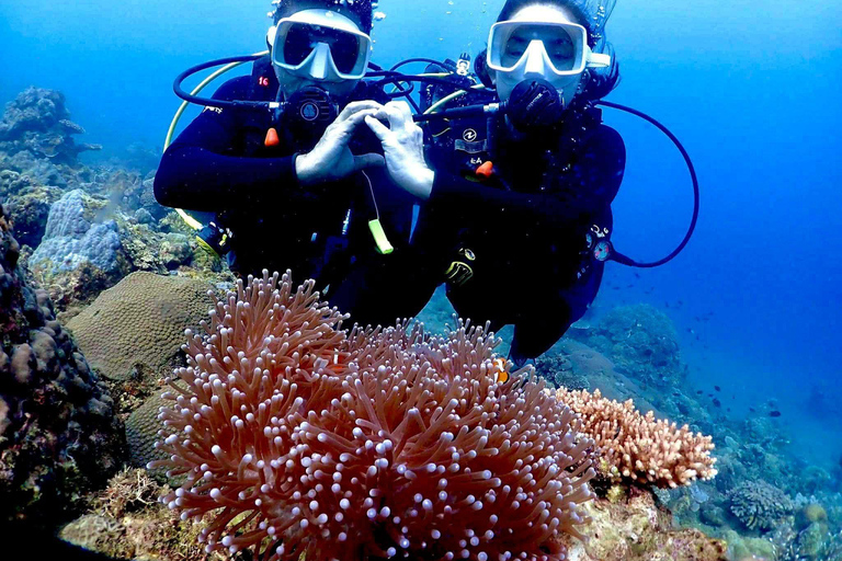 From Manila: Beginner's Scuba Diving Experience