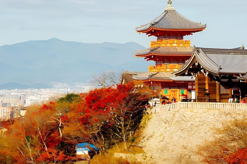 Heldags privat dagsutflykt till Kyoto med engelsktalande chaufförKyoto heldags privat dagsutflykt med engelsktalande chaufför