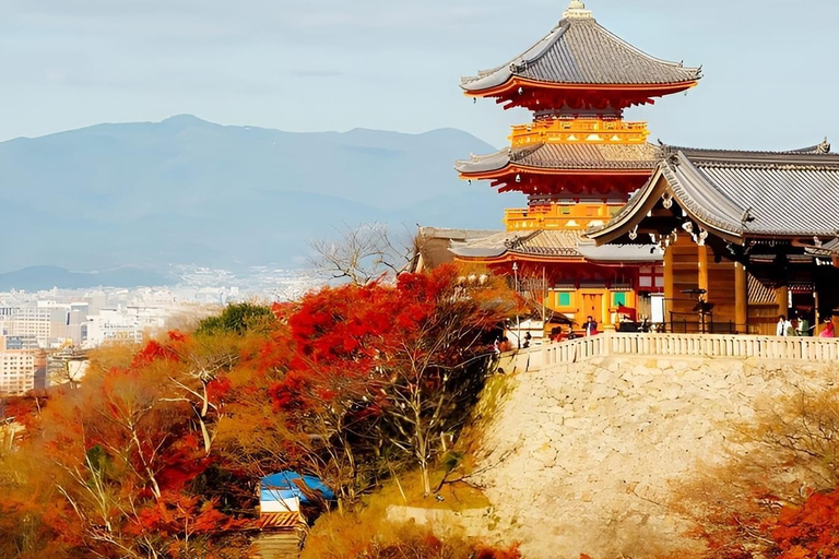 Heldags privat dagsutflykt till Kyoto med engelsktalande chaufförKyoto heldags privat dagsutflykt med engelsktalande chaufför