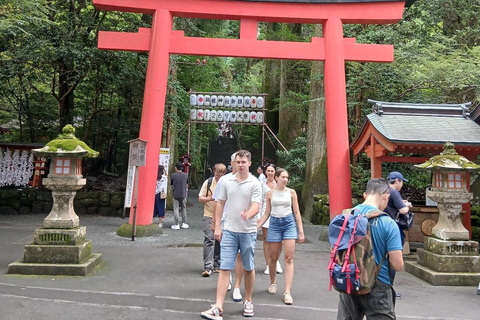 From Tokyo: Mt. Fuji Views Private Customize Itinerary Tour