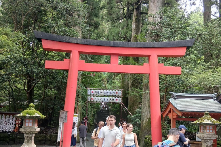 From Tokyo: Mt. Fuji Views Private Customize Itinerary Tour