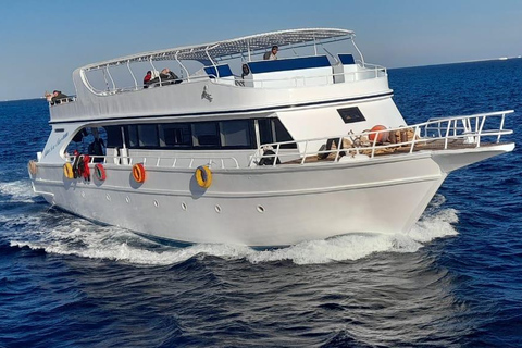 Marsa Alam: Sataya Reef Dolphin House Passeio de barco com snorkeling