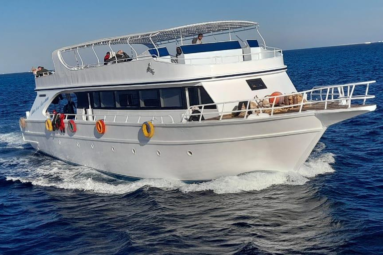 Marsa Alam: Sataya Reef Dolphin House Passeio de barco com snorkeling