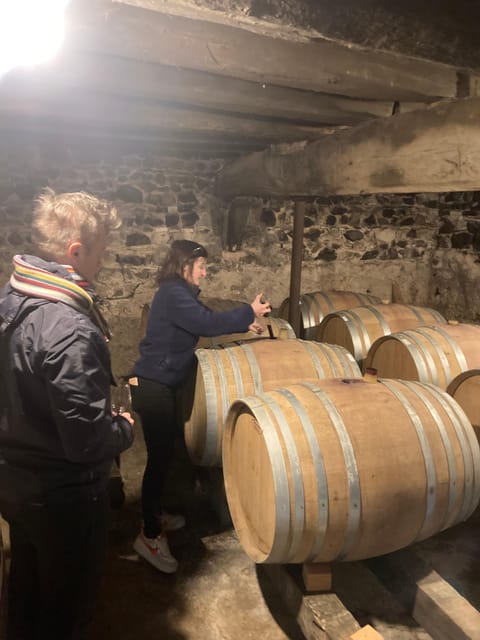 Private Beaujolais wine tour with a French wine expert | GetYourGuide