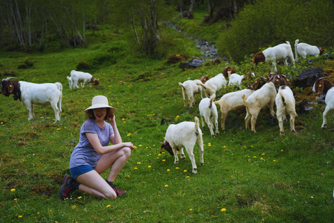 Von Zürich aus: Private Tagestour zu den versteckten Juwelen der Schweiz mit einem lokalen ReiseführerVon Zürich aus: Private Tagestour zu den versteckten Juwelen der Schweiz mi