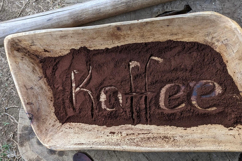 From Arusha: Coffee Farm and Mangalia Waterfalls Tour