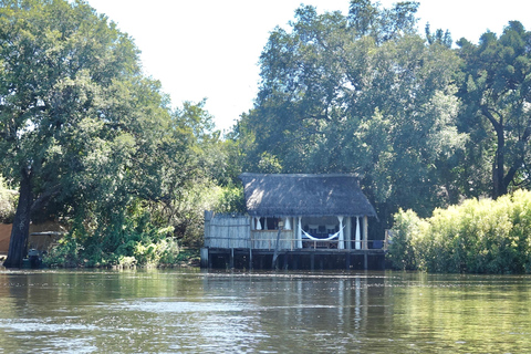 Livingstone: Zambezi Drift + Lunch + Baobab + Croc Farm