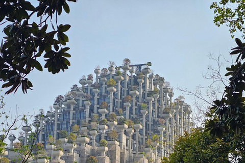 Shanghai: Full-Day Customized Tour with Private Transfer.