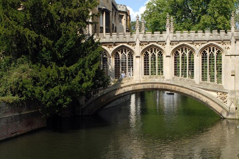 Cambridge - en stadsvandring Sightseeing promenad med en lokal guideCambridge: 3 timmars sightseeing rundvandring