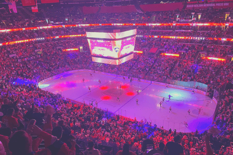 Miami: Florida Panthers Ice Hockey Game Ticket Budget Seating